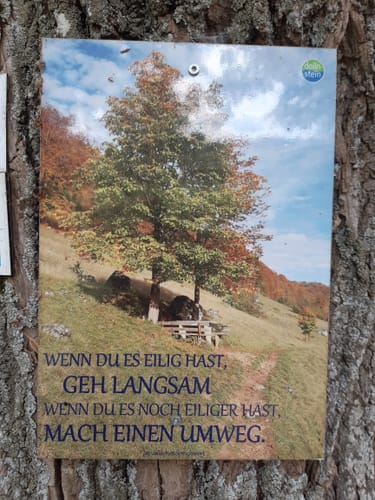 Von Dollnstein zum Burgstein