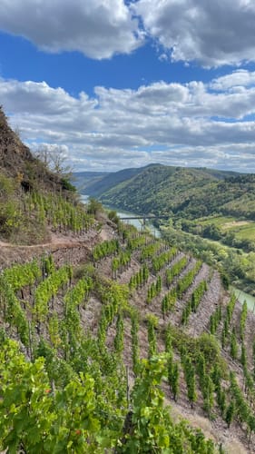 Bremmer Weinberge - Calmont Klettersteig