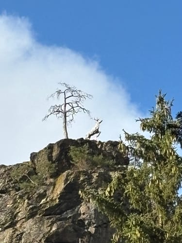 Röhrensteig US11