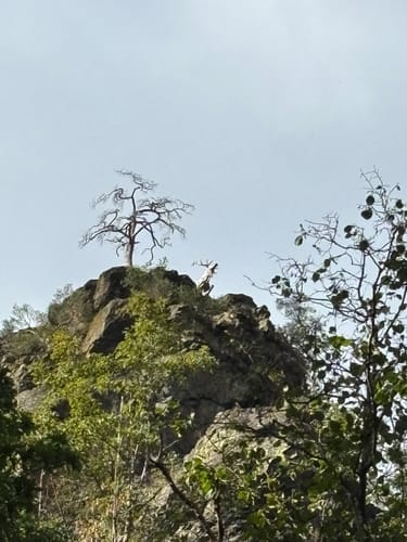 Röhrensteig US11