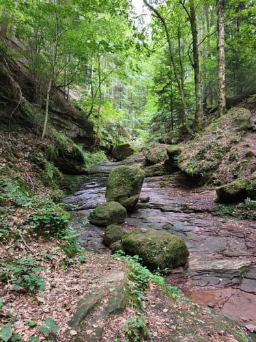 Wolfsschlucht und Fuchsklinge Hirsau