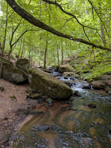 Trippstadt - Burg Wilenstein -Karlstalschlucht