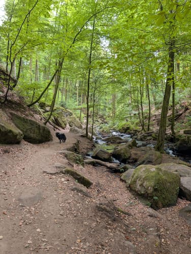 Trippstadt - Burg Wilenstein -Karlstalschlucht