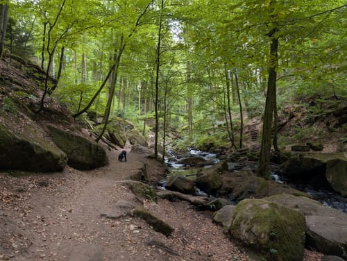 Trippstadt - Burg Wilenstein -Karlstalschlucht