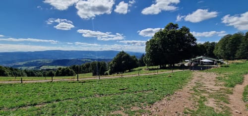 Kandel-Tour (Josef-Seger-Weg)