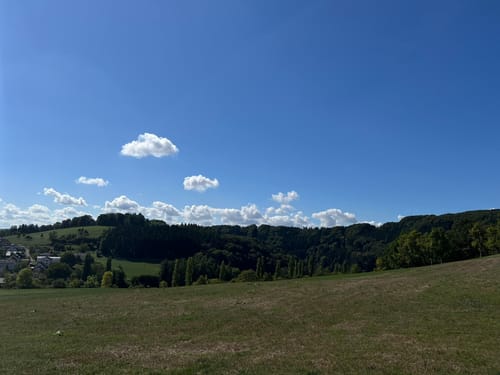 Naturpark Südeifel Wanderweg Nr. 16 - Biersdorf am See