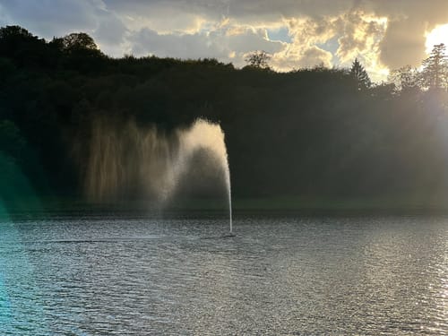 Naturpark Südeifel Wanderweg Nr. 16 - Biersdorf am See