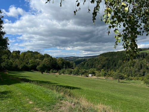 Naturpark Südeifel Wanderweg Nr. 16 - Biersdorf am See