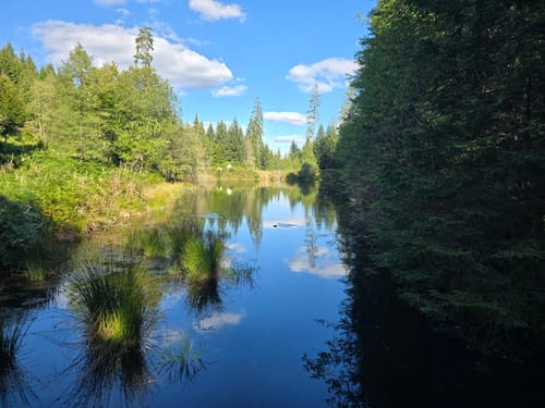 Kaltenbachsee