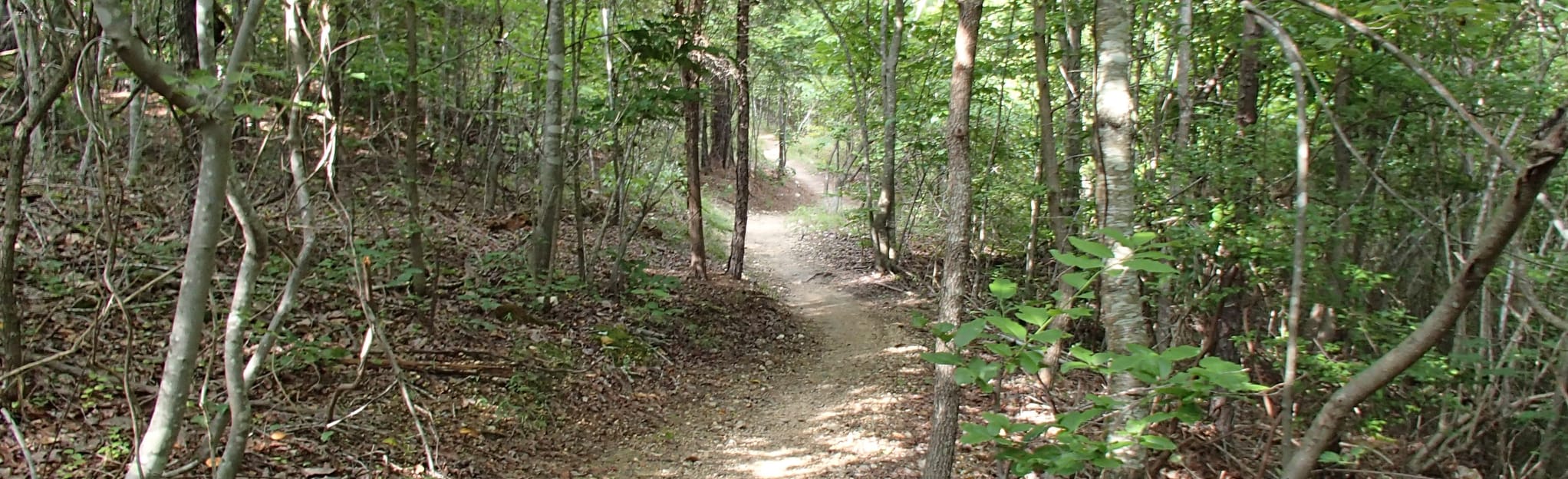 Enterprise South Nature Park Loop 174 Reviews, Map Tennessee AllTrails