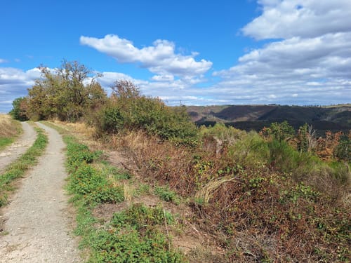 Nat'Our Route 4: Ourtalschleife (Premiumwanderweg)