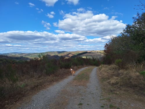 Nat'Our Route 4: Ourtalschleife (Premiumwanderweg)
