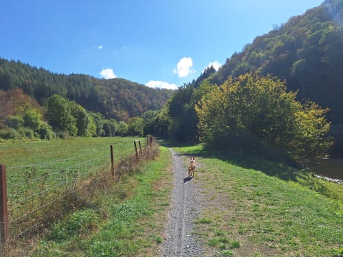 Nat'Our Route 4: Ourtalschleife (Premiumwanderweg)