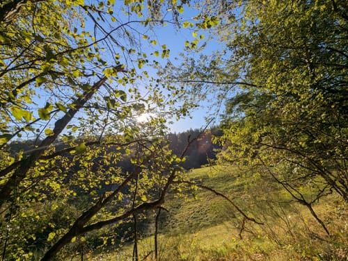 Großes Loch - Teufelsmühle - Vogelwiesen ab Rißwasen
