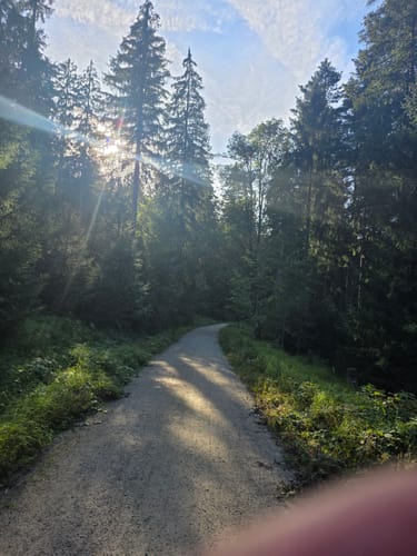 Naturlehrpfad "Oberes Weißmaintal"