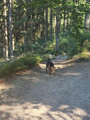 Naturlehrpfad "Oberes Weißmaintal"
