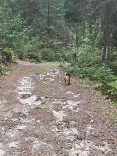 Mistelbach Rundwanderweg Markgräfin-Wilhelmine-Weg