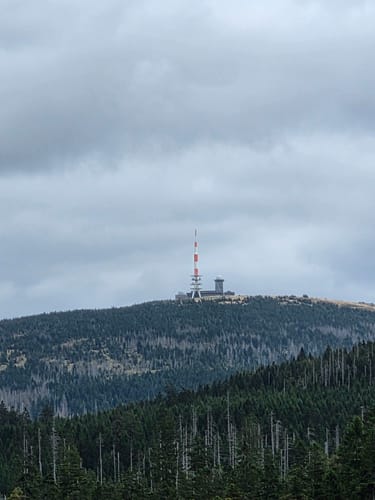 Rund um das Große Torfhausmoor