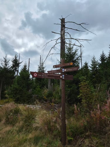 Rund um das Große Torfhausmoor