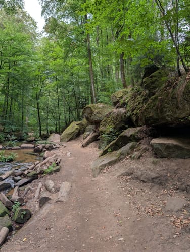 Trippstadt - Burg Wilenstein -Karlstalschlucht