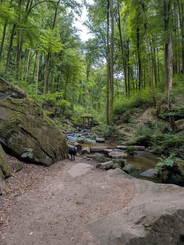 Trippstadt - Burg Wilenstein -Karlstalschlucht