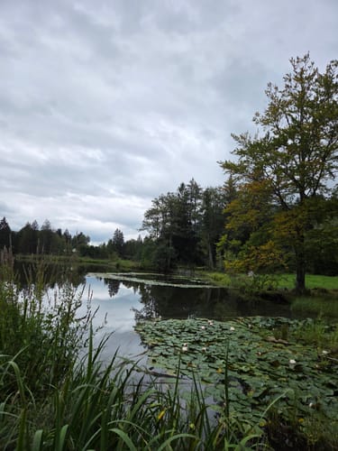Über den Moorweiher ins Trettachtal