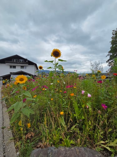 Über den Moorweiher ins Trettachtal