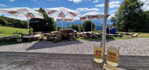 Kandel-Tour (Josef-Seger-Weg)