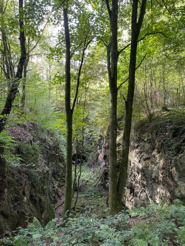 Schlupkothen Rundweg