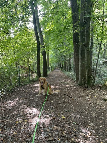 Schlupkothen Rundweg