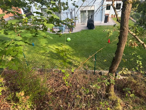 Schwedelbach Rundwanderung