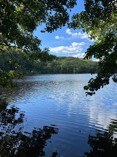 Sassnitz - Königsstuhl - Jasmund Nationalpark Runde