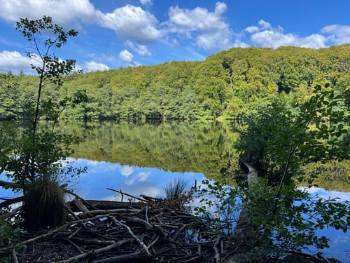 Sassnitz - Königsstuhl - Jasmund Nationalpark Runde