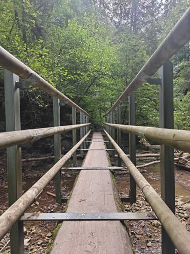 Gauchachschlucht (Genießerpfad)