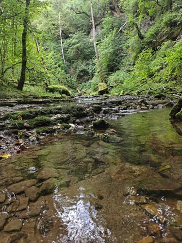 Gauchachschlucht (Genießerpfad)