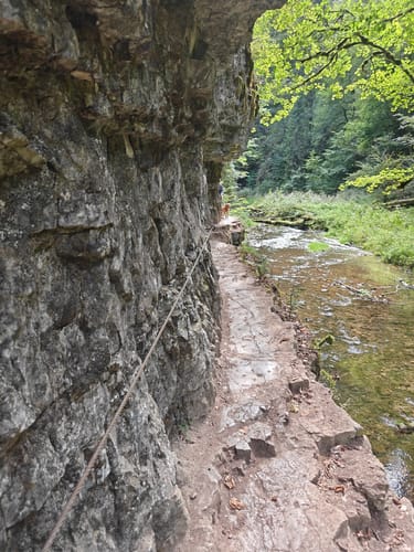 Gauchachschlucht (Genießerpfad)