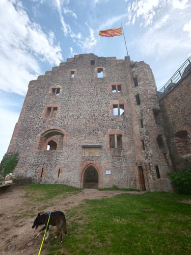 Burg Hohengeroldseck ab Schönberg