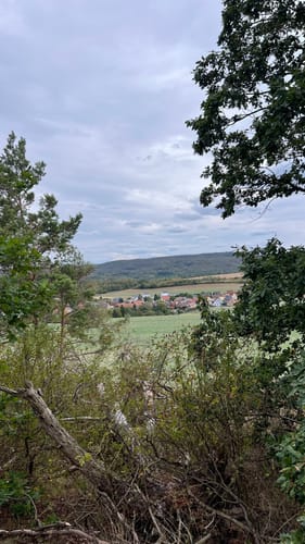 Teufelsmauer zum Hamburger Wappen