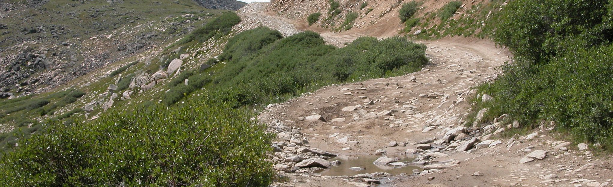 Tincup Pass OHV Route, Colorado - 110 Reviews, Map | AllTrails