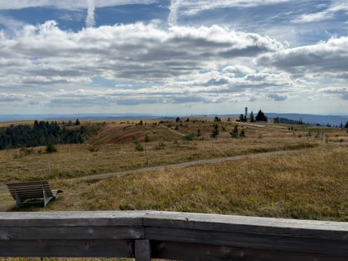 Feldbergsteig (Genießerpfad)