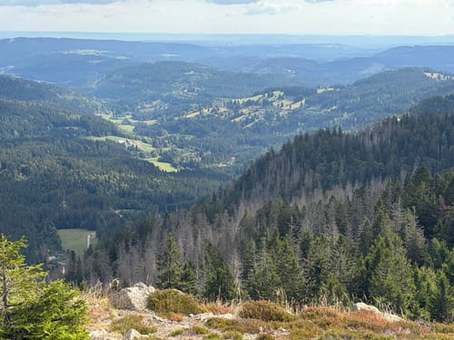 Feldbergsteig (Genießerpfad)