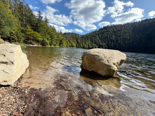 Feldbergsteig (Genießerpfad)