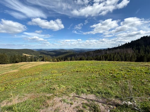 Feldbergsteig (Genießerpfad)