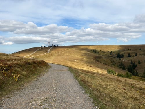 Feldbergsteig (Genießerpfad)