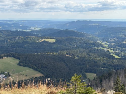 Feldbergsteig (Genießerpfad)