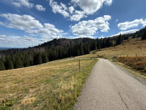 Feldbergsteig (Genießerpfad)