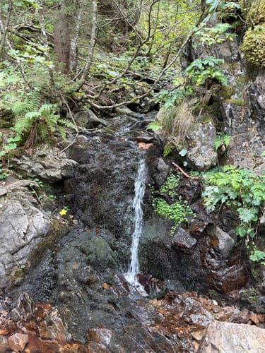 Feldbergsteig (Genießerpfad)