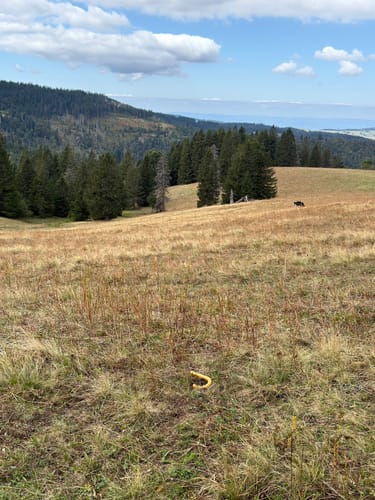 Feldbergsteig (Genießerpfad)