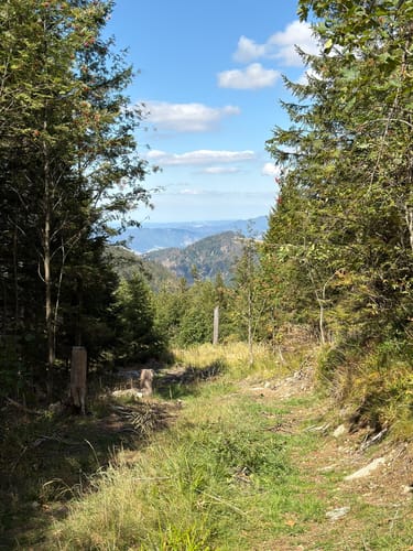 Feldbergsteig (Genießerpfad)