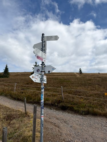 Feldbergsteig (Genießerpfad)